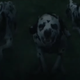Saturday Night Social: Knocked...Over a Cliff...by Dalmatians...